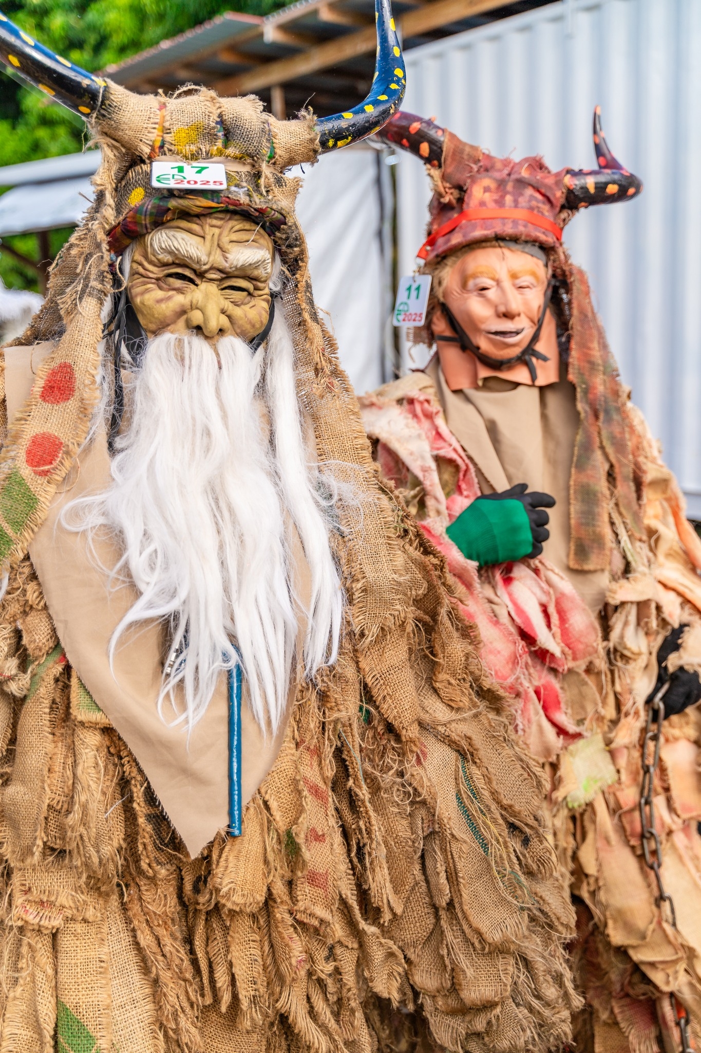 Dominica carnival 19