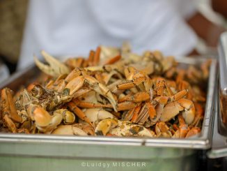Morne-à-l’Eau est devenue la “ville du crabe” à cause de ses côtes peuplées de palétuviers et de ce crustacé. Durant la colonisation, le crabe nourrissait déjà les esclaves. (Photo: Luidgy Mischer)