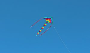 kites-rise-1599882_960_720