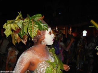 Carnaval de Guadeloupe 14