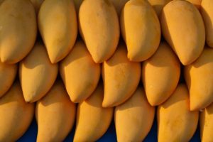 mangoes-1320111_960_720