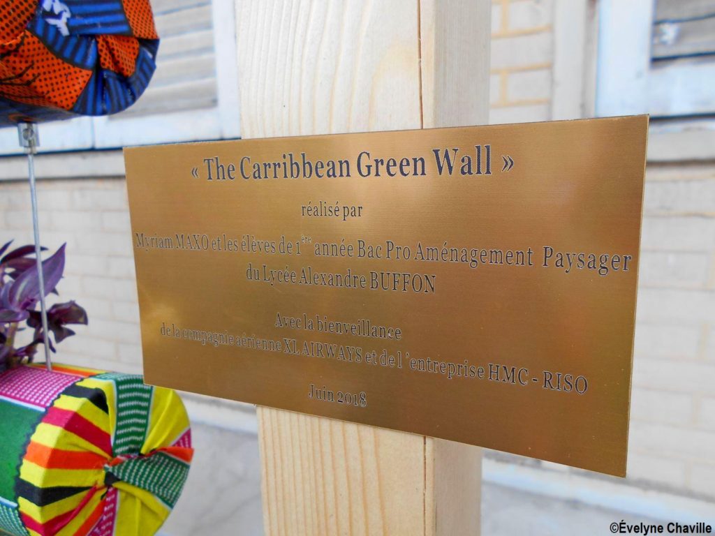 Caribbean Green Wall 1 E