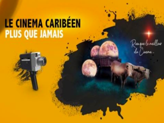 Some 50 films are already available on the platform Cinédiles Caribbean VOD