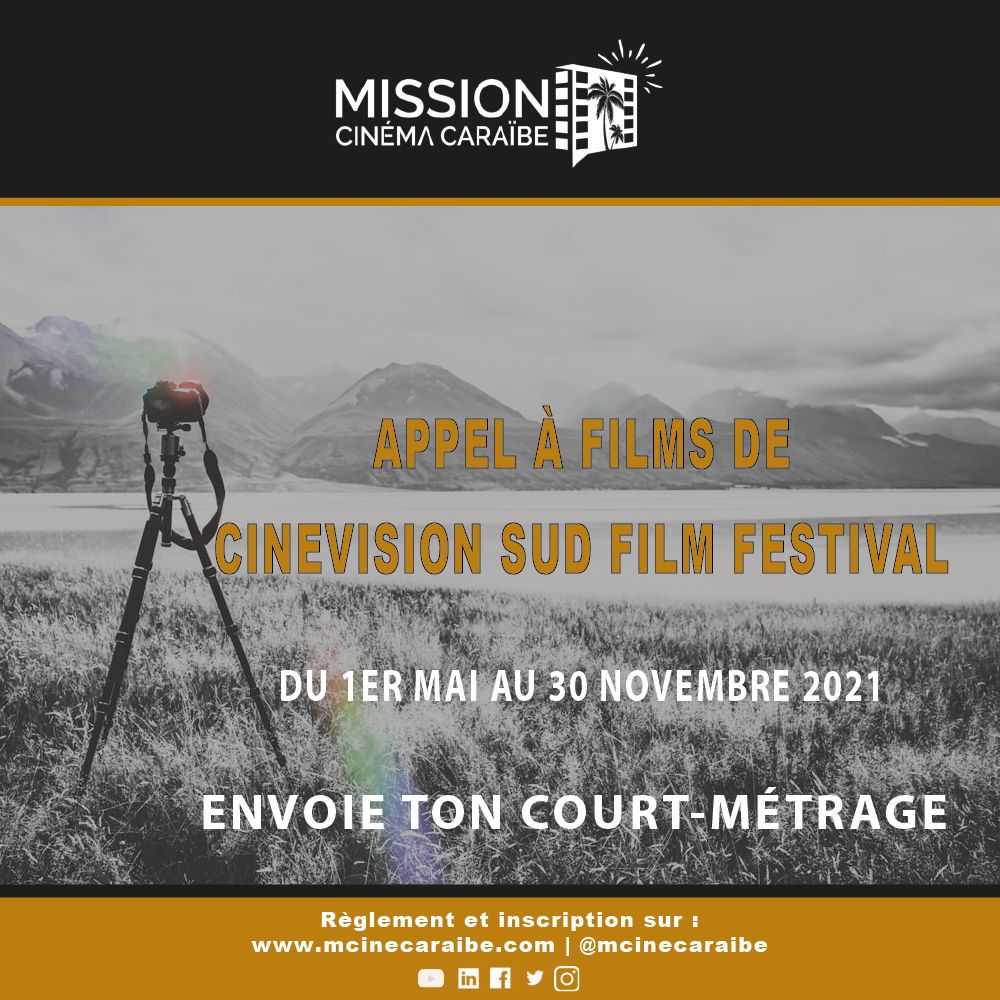 appel à films de Cinevision sud film festival 1ER mai au 30 novembre 2021