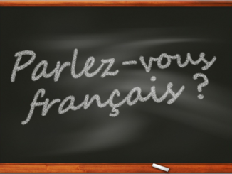 Journée internationale des Professeurs de Français 0