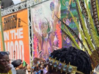 Caribbean Carnival New York 2023 - 0
