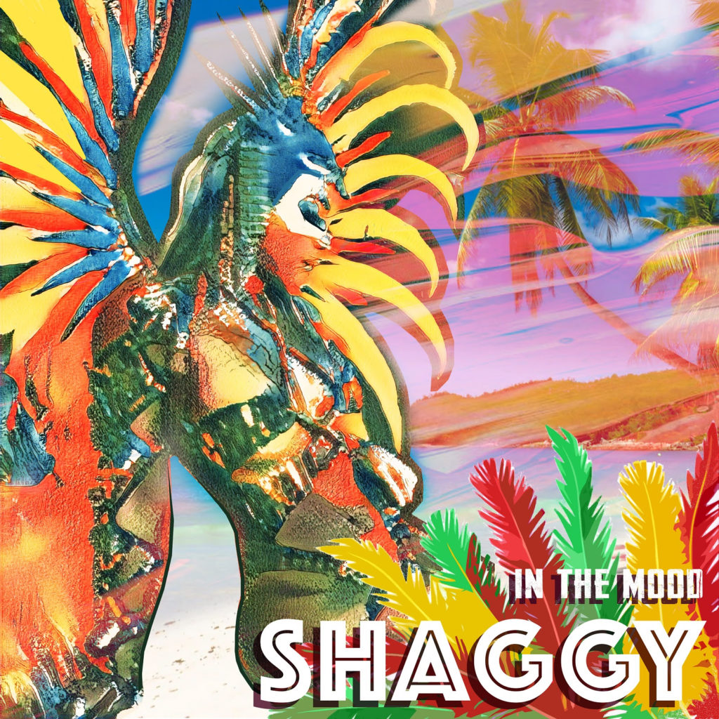 Shaggy_In The Mood