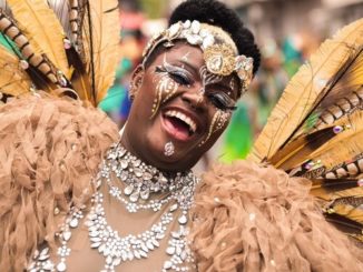 Carnaval de Saint-Martin 0