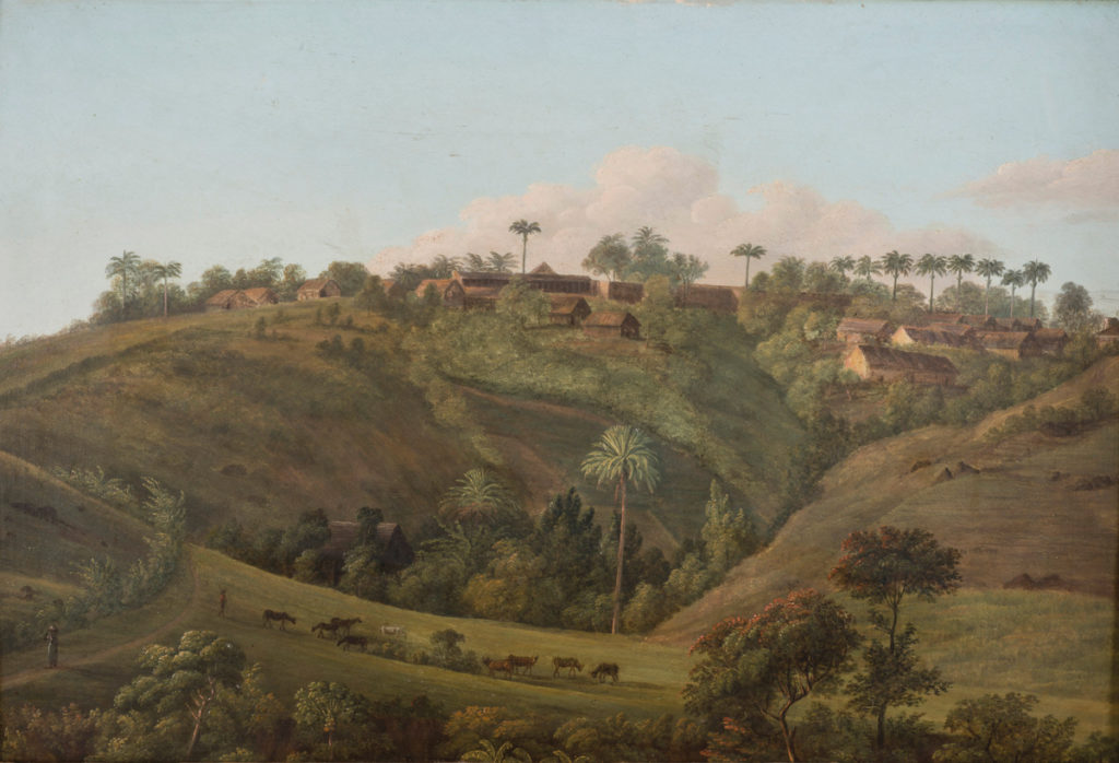 Exposition Peindre à la Martinique-2