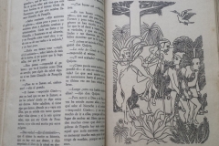 Don Quichotte 8 Don Quichotte 8