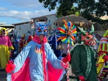 Carnaval de Ponce - 4