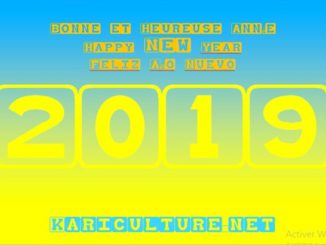 Kariculture.net 2019-0
