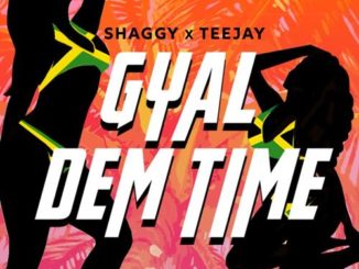 Shaggy & Teejay Gyal Dem Time 0