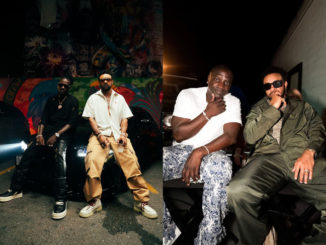 Adonia & Shaggy (Badshoota) - Akon & Shaggy (David Quinn)