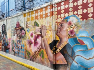 Clara Lionel Foundation 0