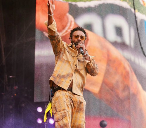 Shaggy Reggae Land - 0